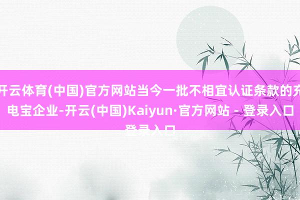 开云体育(中国)官方网站当今一批不相宜认证条款的充电宝企业-开云(中国)Kaiyun·官方网站 - 登录入口