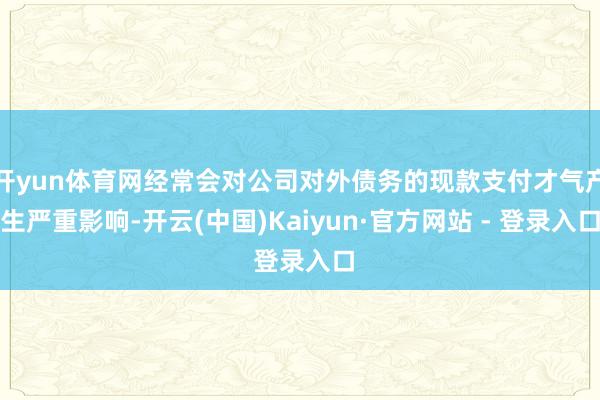 开yun体育网经常会对公司对外债务的现款支付才气产生严重影响-开云(中国)Kaiyun·官方网站 - 登录入口