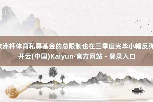 欧洲杯体育私募基金的总限制也在三季度完毕小幅反弹-开云(中国)Kaiyun·官方网站 - 登录入口