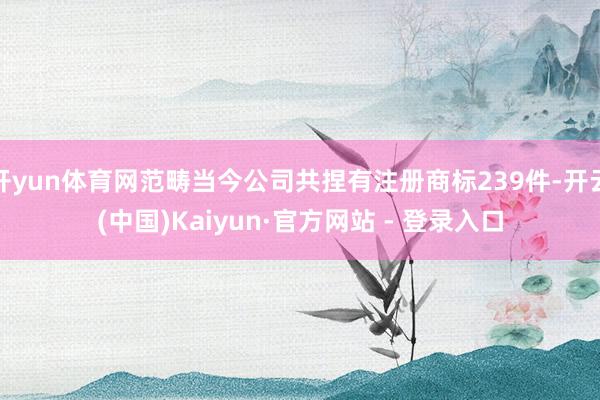 开yun体育网范畴当今公司共捏有注册商标239件-开云(中国)Kaiyun·官方网站 - 登录入口