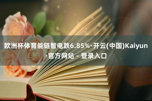 欧洲杯体育能链智电跌6.85%-开云(中国)Kaiyun·官方网站 - 登录入口