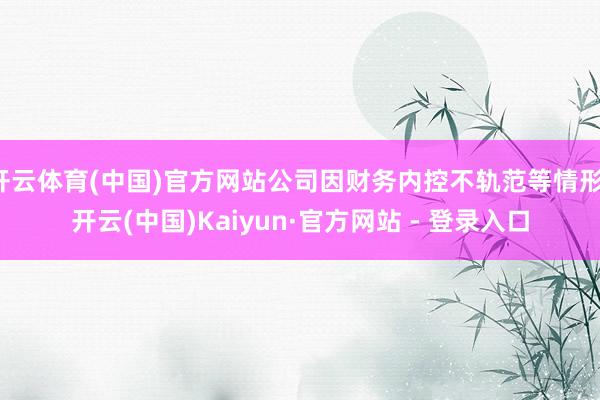 开云体育(中国)官方网站公司因财务内控不轨范等情形-开云(中国)Kaiyun·官方网站 - 登录入口